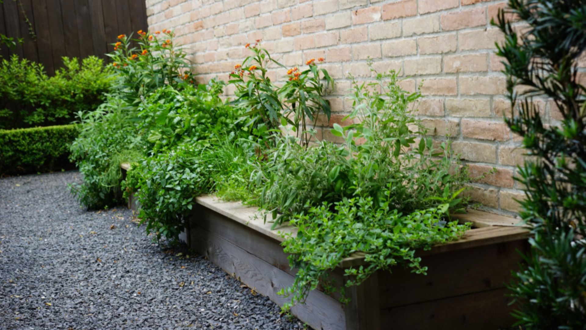 Herb Garden