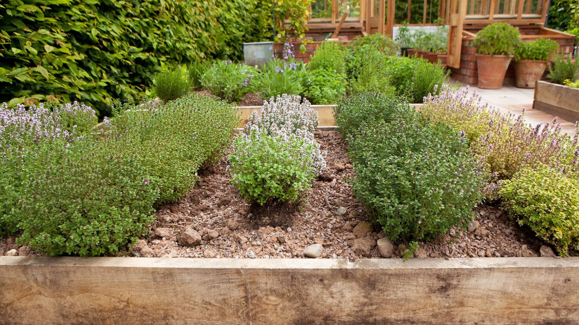 Herb Garden