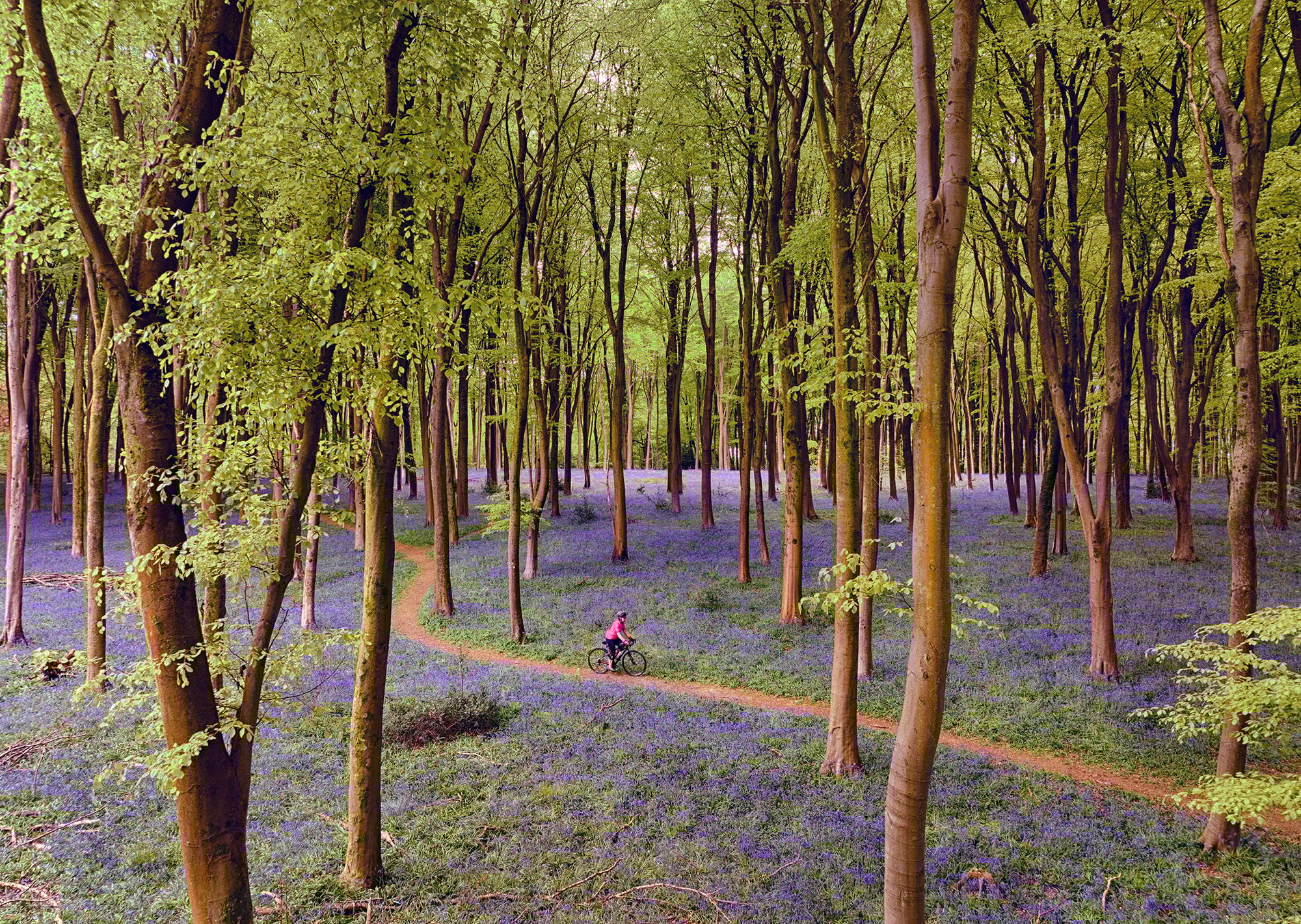 How Climate Change Impacts Nature Reserves