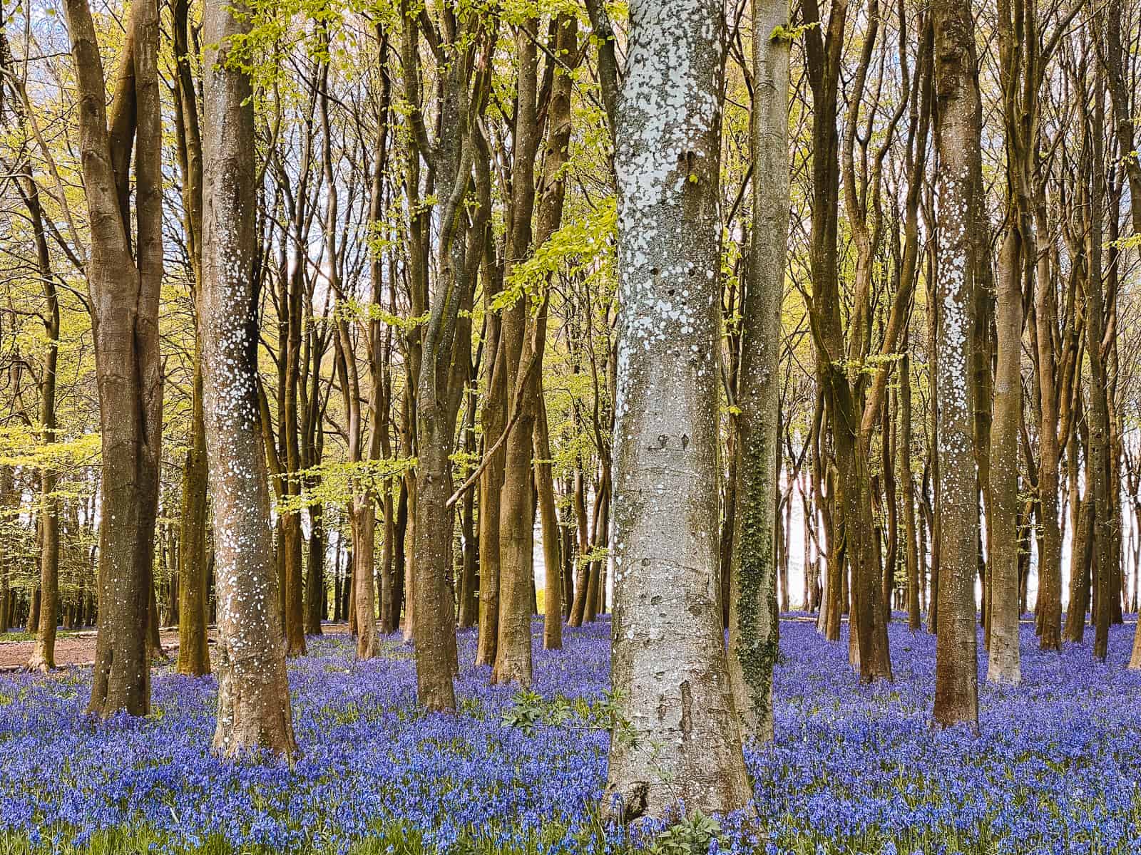 How Climate Change Impacts Nature Reserves