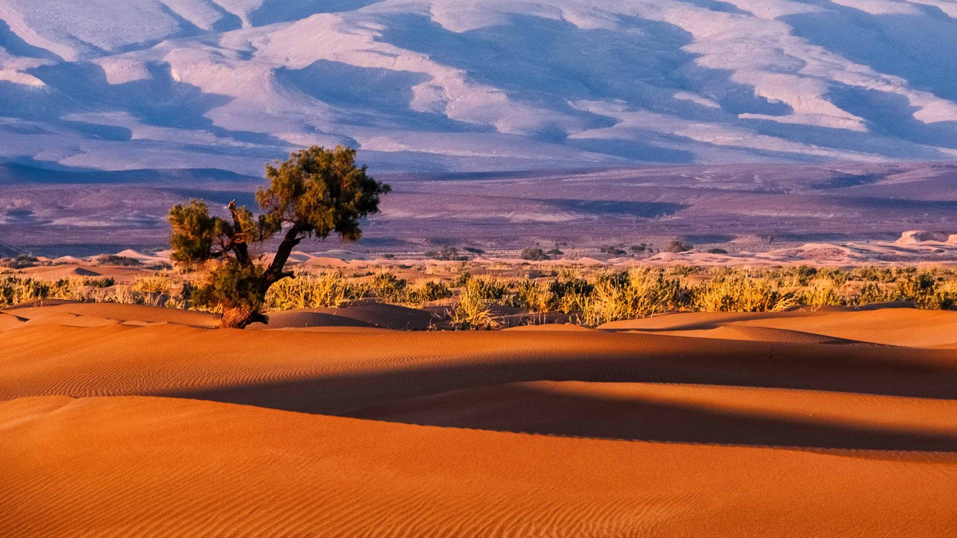 Best Desert Landscapes to Explore