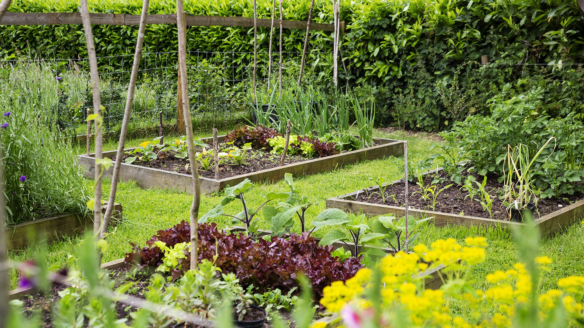 How to Build a Raised Bed Garden