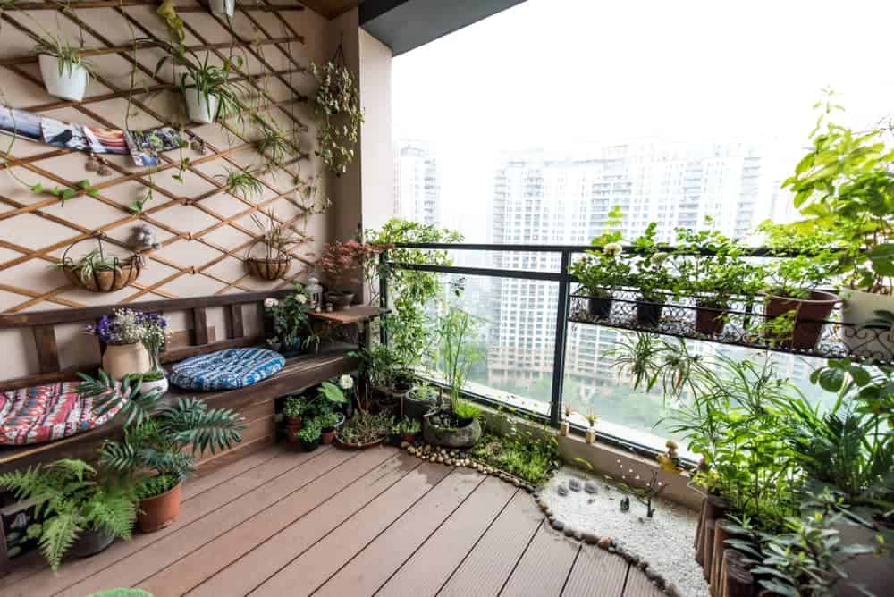 How to Start a Balcony Garden