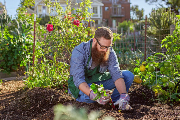 Urban Gardening Tips for Beginners