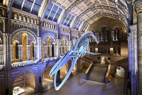 Natural History Museums and Their Wonders