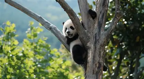 Endangered Species and Their Protection