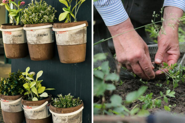 Top Mistakes in Gardening to Avoid