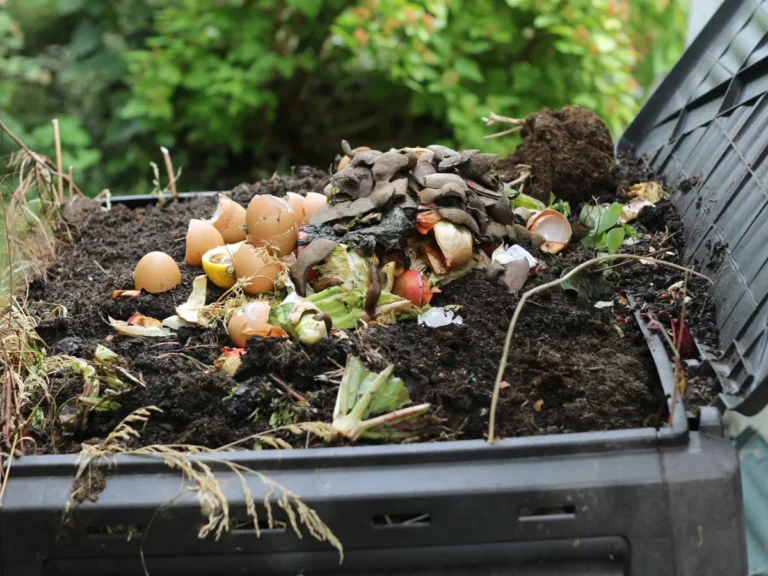 Composting for Healthier Soil