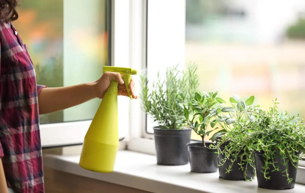 Common Gardening Mistakes to Avoid